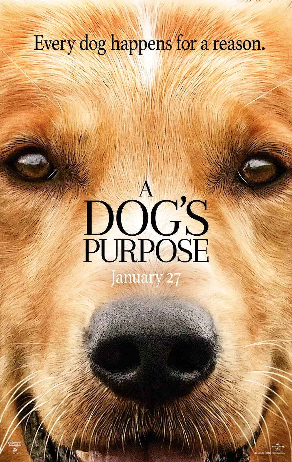 A Dog's Purpose.webp