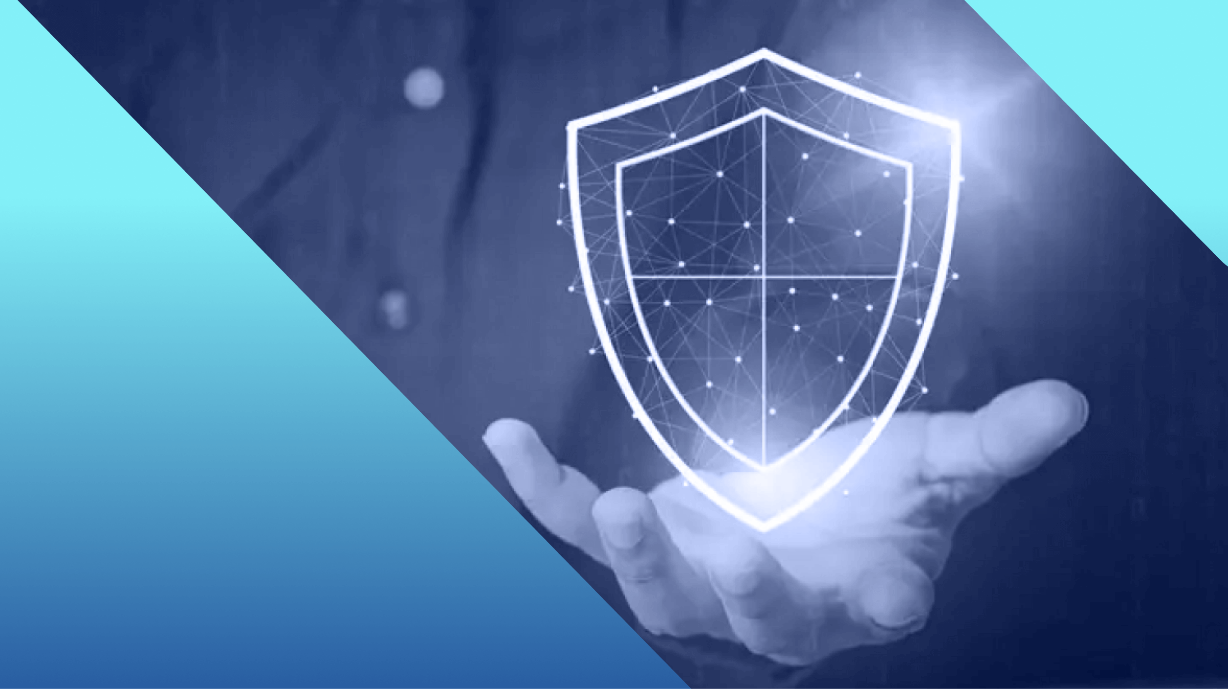 www.malwarebytes.com