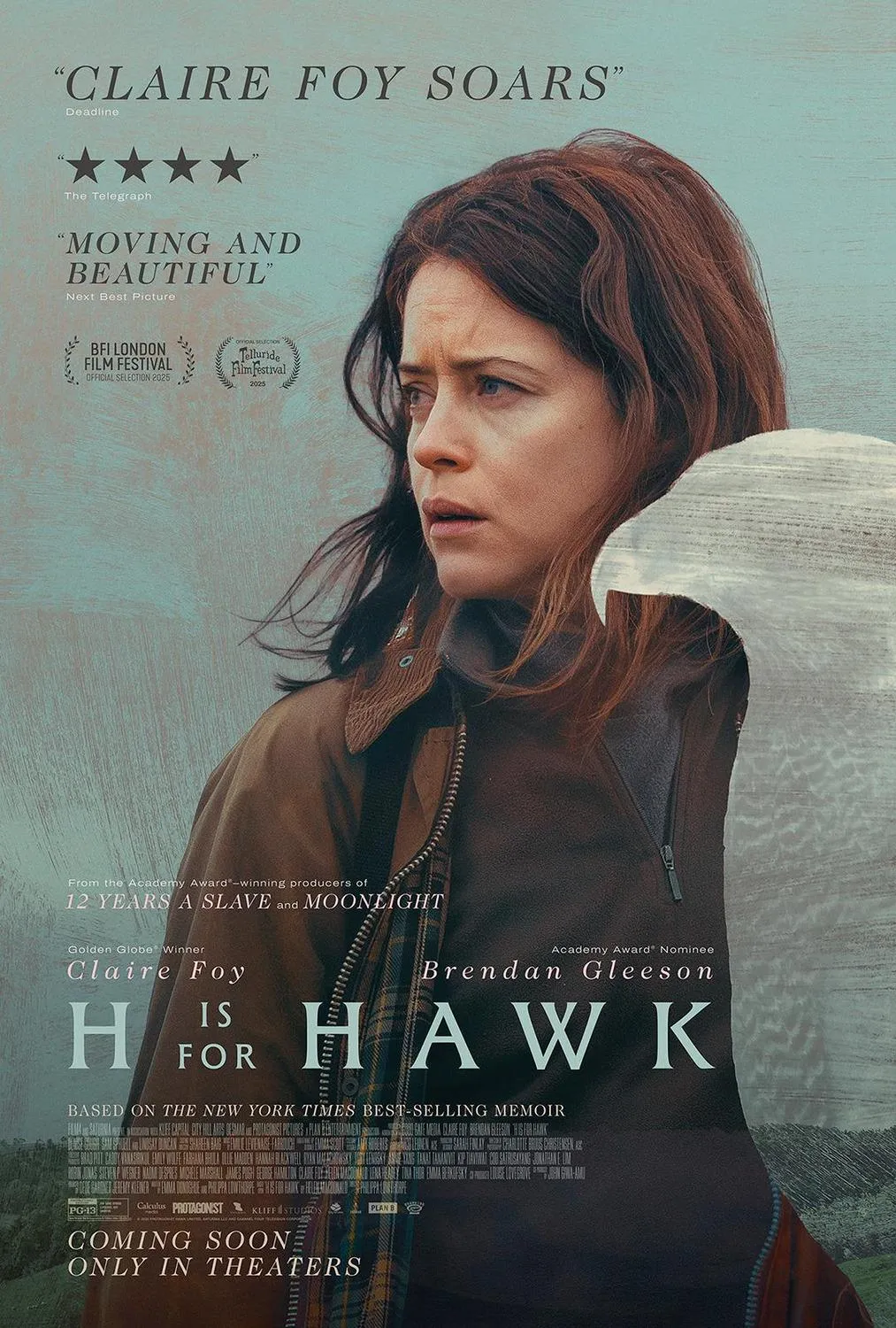 H Is for Hawk (2026)