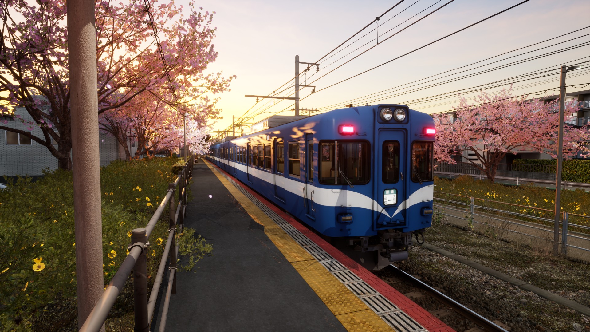 fa970d755dc9.jpg