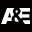 www.aetv.com