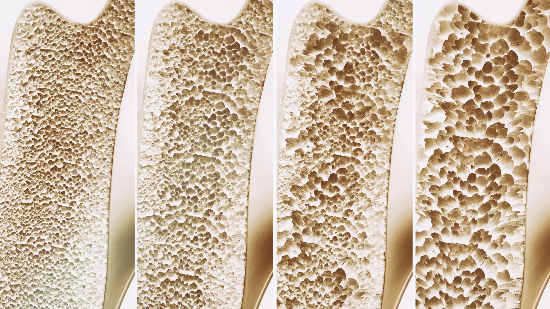 www.sciencedaily.com