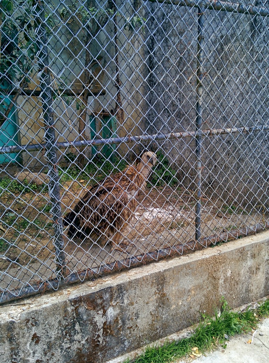 agczWTS.jpg