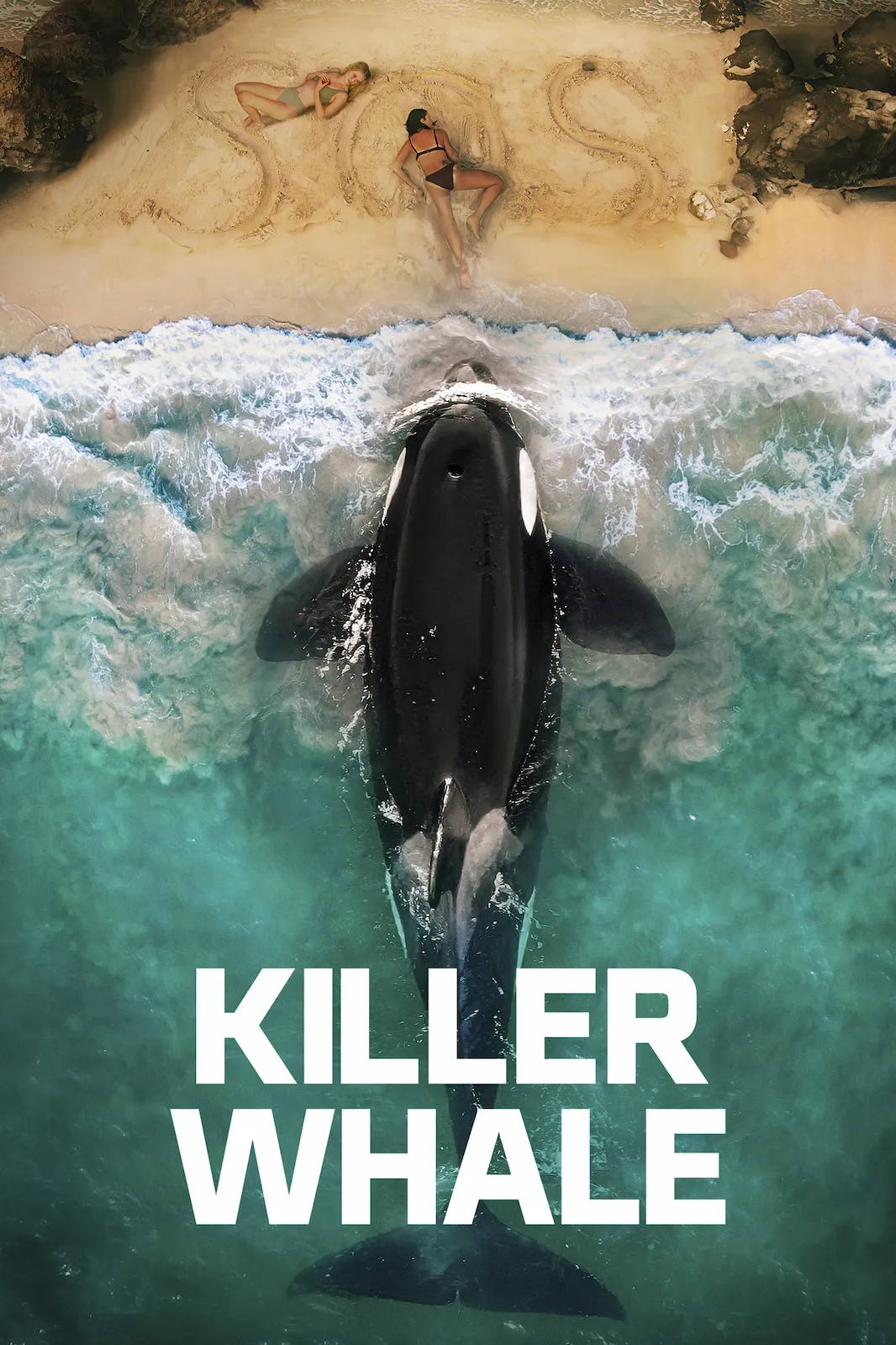 Killer Whale (2026)