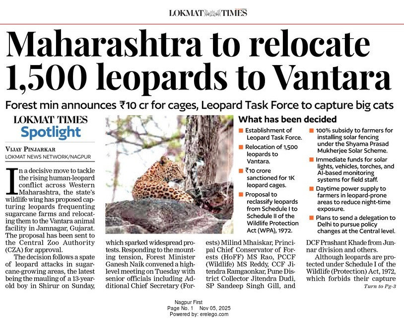The article from Lokmat Times reports on the Maharashtra government's proposal to relocate 1,500 leopards to the Vantara animal facility in Jamnagar, Gujarat, to address the rising human-leopard conflict. The decision was prompted by recent leopard attacks and widespread protests. The state's forest minister announced the establishment of a Leopard Task Force and sanctioned ₹10 crore for cages.