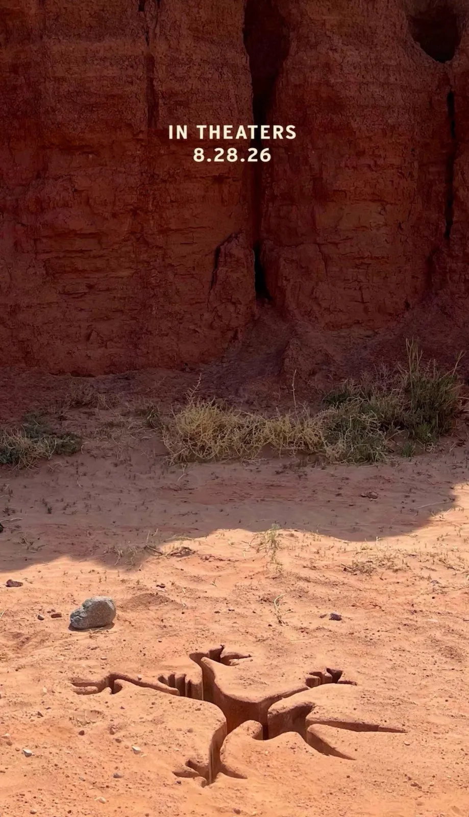 Coyote vs Acme (2025)