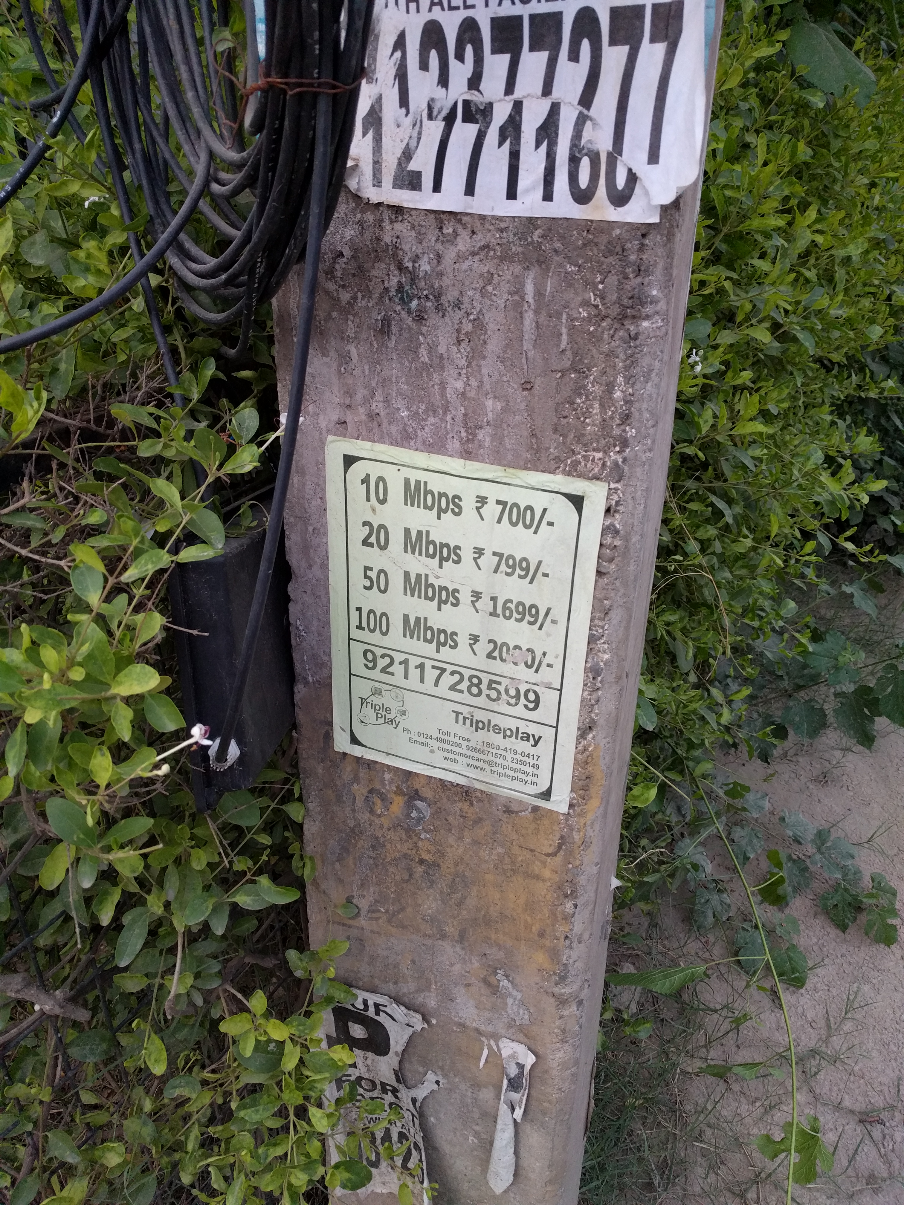 DrLiok2.jpg