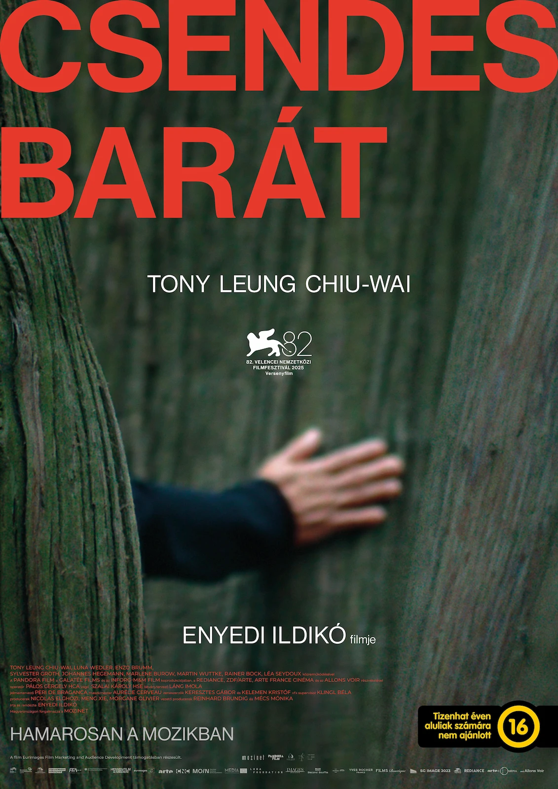 Silent Friend (2025)