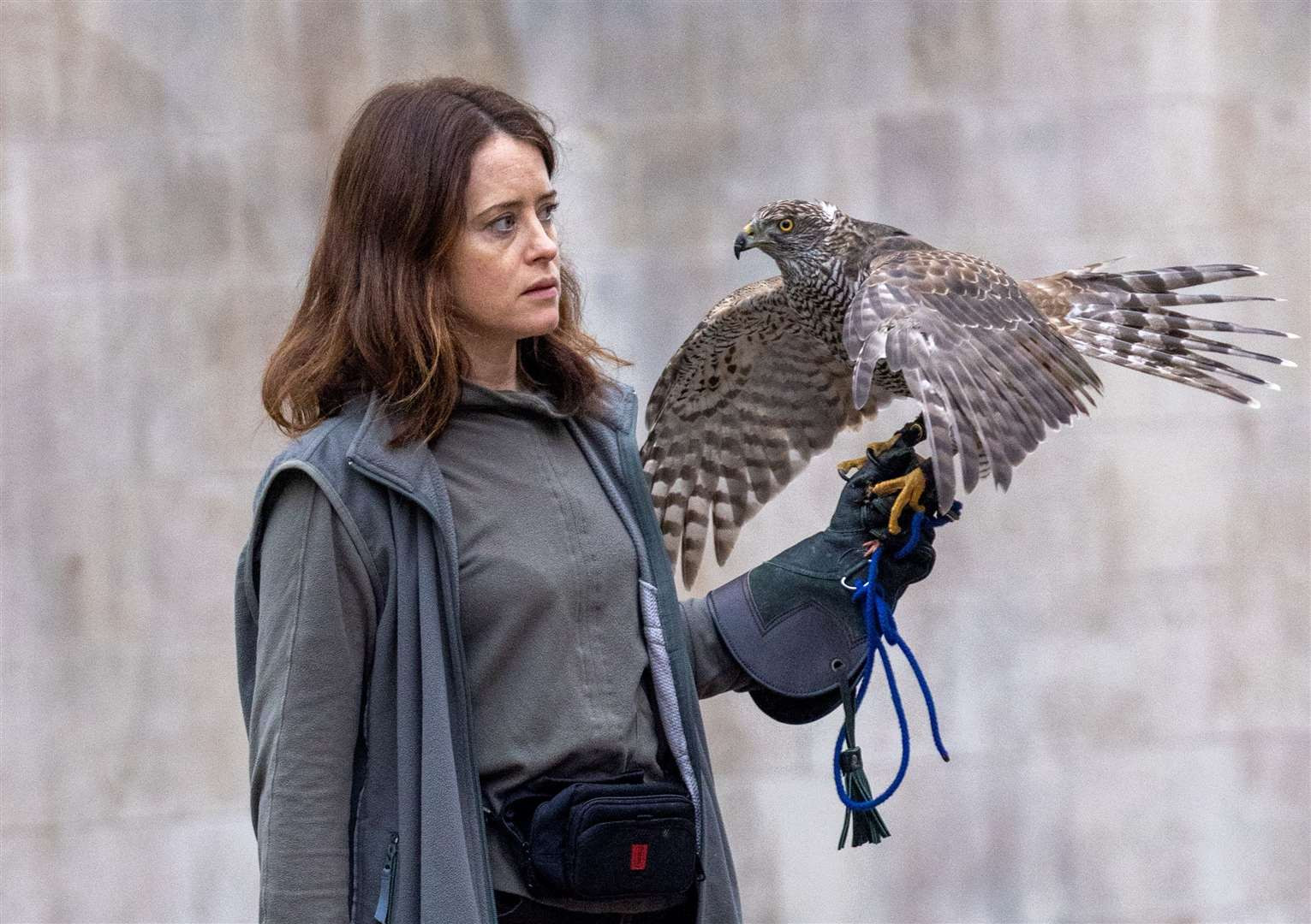 H Is for Hawk (2025)