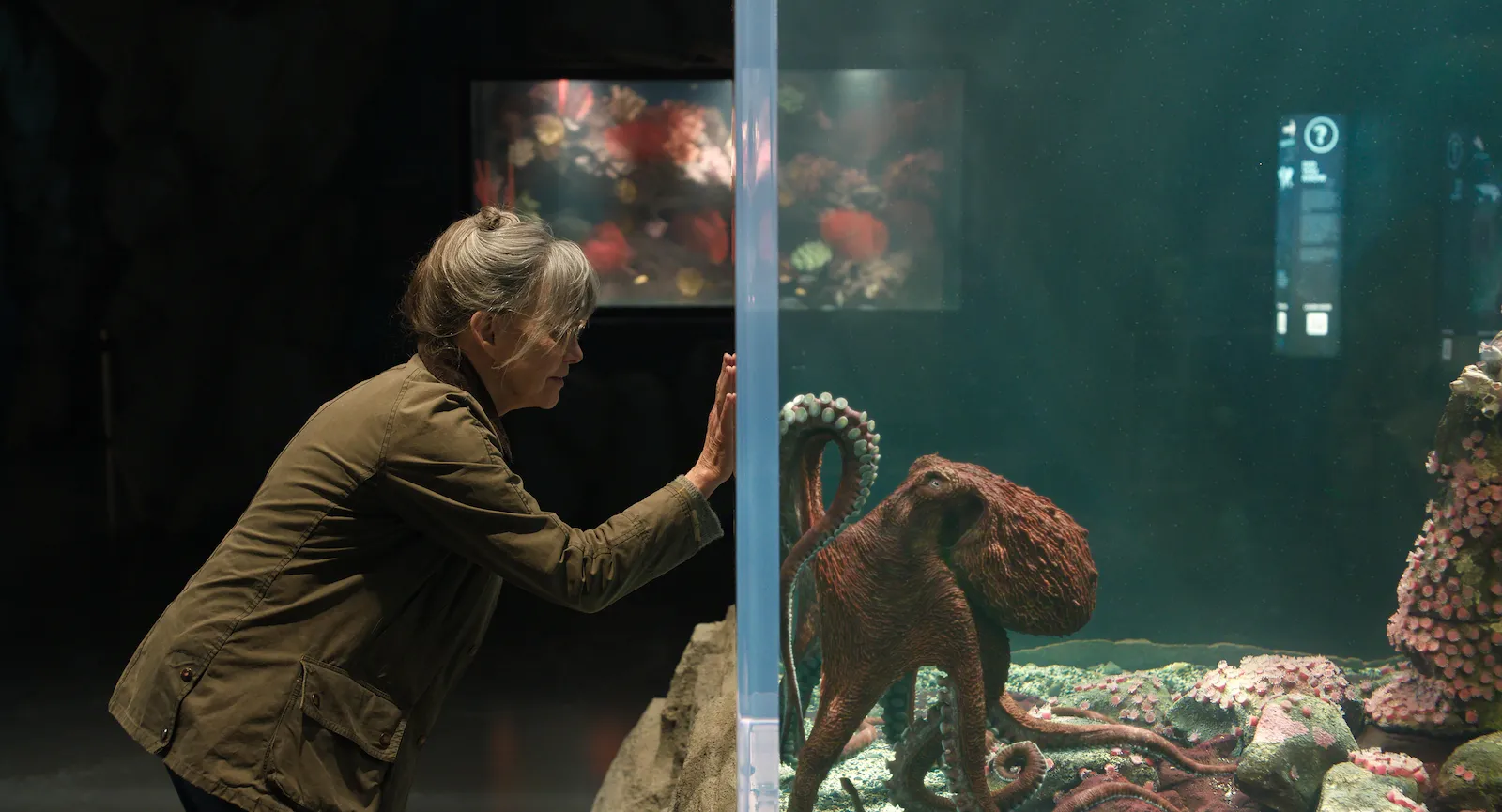 Remarkably Bright Creatures (Netflix, 2026)