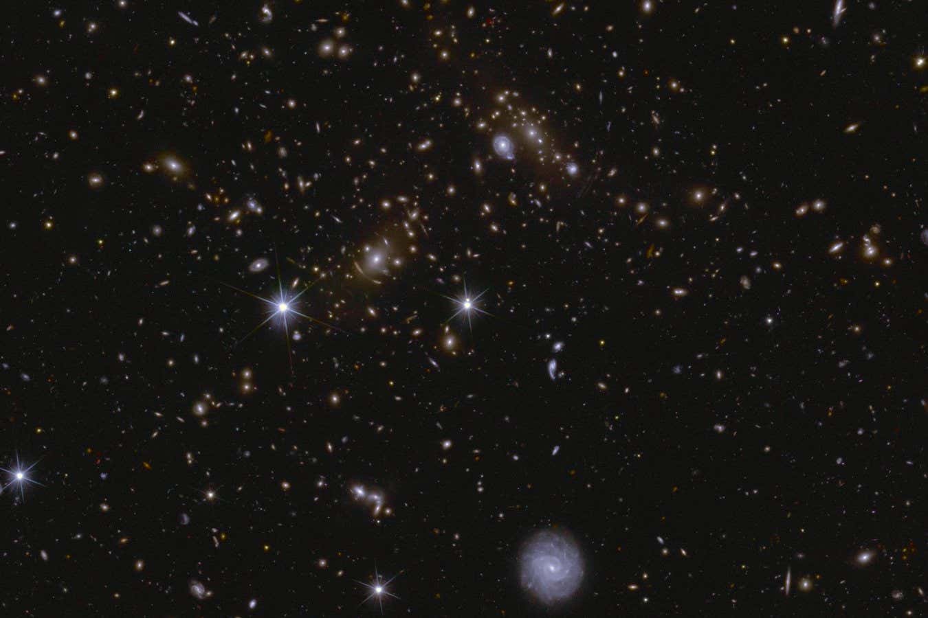 www.newscientist.com